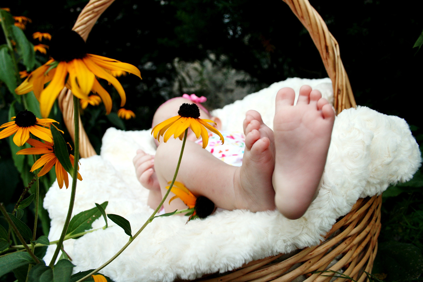 Baby Girl in A Basket
