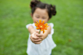 child-flower-thanks, Inspiring Cooperation in families, peace at home parenting solutions