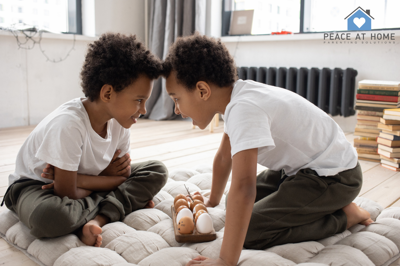 How to Help Siblings Get Along: Support Sibling Relationships
